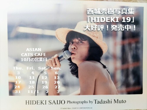 10月アジアンキャッツカフェ.jpg
