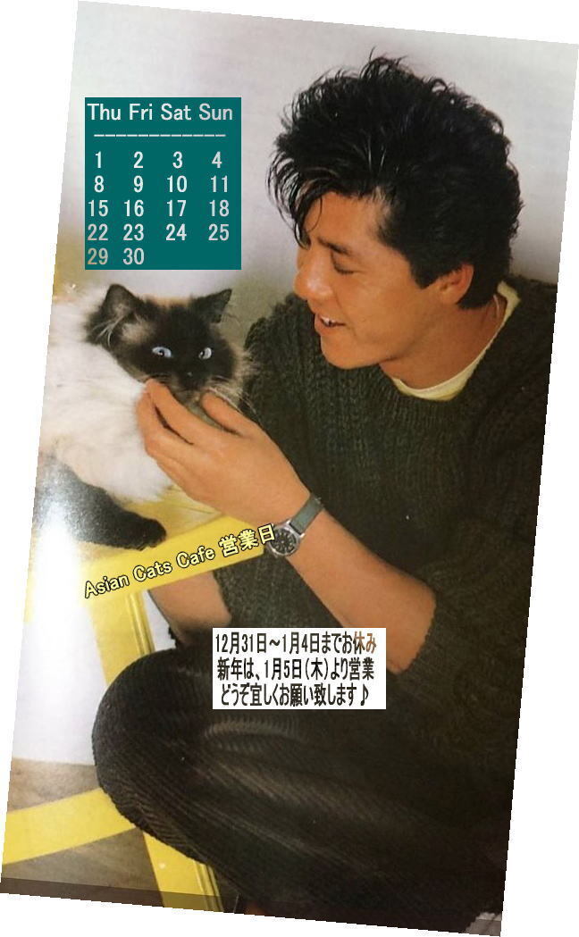 12月予定表.jpg
