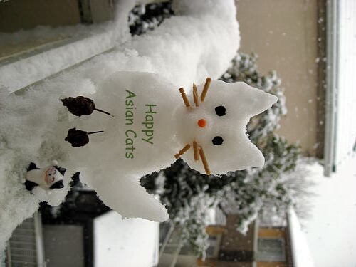 IMG_3301s.jpg