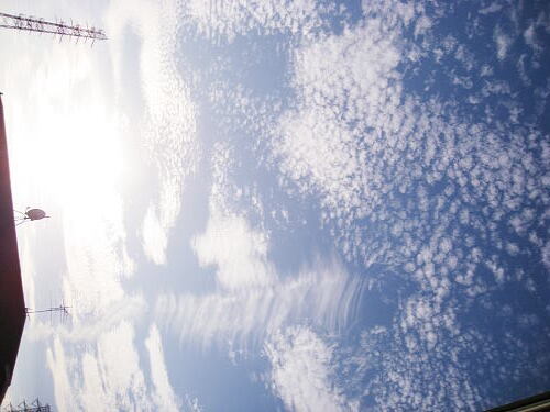 IMG_6889.JPG
