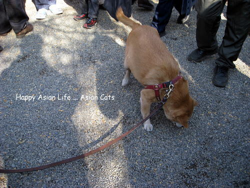 IMG_9183s.jpg